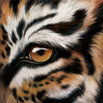 Tigerauge von Jutta Plath