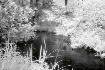 Flusslauf von Martin Steiner