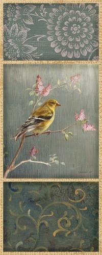 Female Goldfinch von Danhui Nai