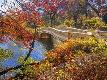 Bow Bridge, Central Park von Susanne Kremer