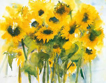 Sonnenblumenfeld von Christa Ohland