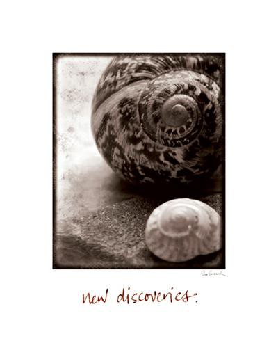 New Discoveries von Sue Schlabach