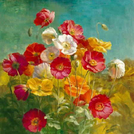 Poppies in the Field von Danhui Nai