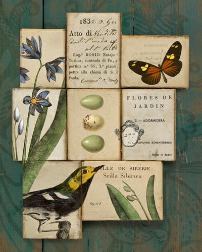 Birds and Butterflies I von Sue Schlabach