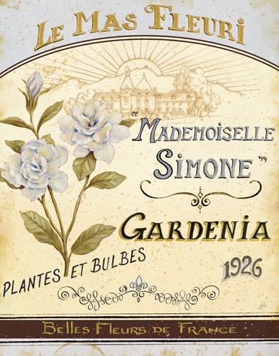 French Seed Packet IV von Daphne Brissonnet