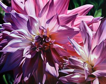 Dueling Dahlias von Michael Schuh