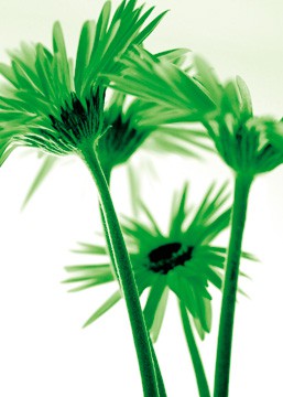 Rendez-vous I von Kirsten Riedt
