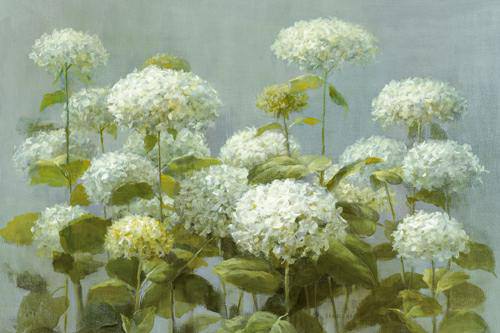 White Hydrangea Garden von Danhui Nai