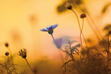 Moments of Summer von Kirsten Riedt