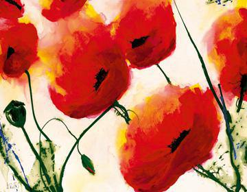 Mohn von Heidi Reil