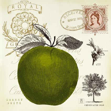 Apple Notes von Studio Mosseau