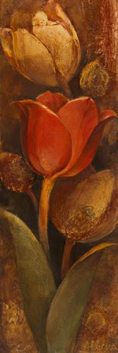 Tulip Shadow II von Albena Hristova