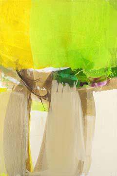 Green Field von El Witt