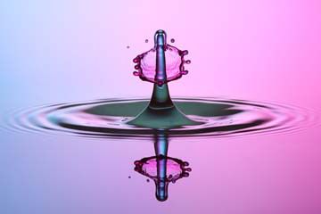 Pink Lady von Tobias Bräuning