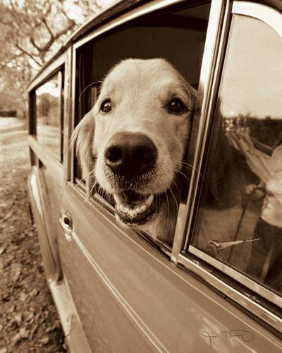 Are we there Yet? von Jim Dratfield
