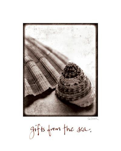 Gifts From the Sea von Sue Schlabach