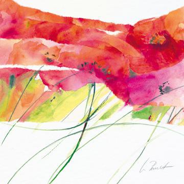 Modern Poppy VI von Marta Peuckert