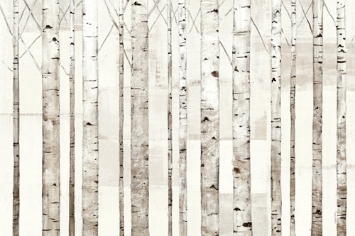 Birch Trees on White von Avery Tillmon