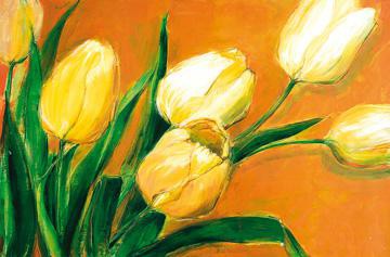 Tulipa Nova von Elisabeth Krobs