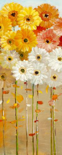 Daisies Fall I von Danhui Nai