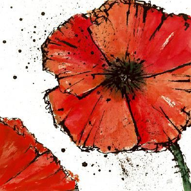 Not a California Poppy on White IV von Chris Paschke