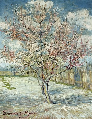 Blühende Pfirsichbäume von Vincent Van Gogh