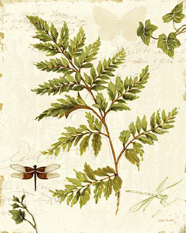 Ivies and Ferns I von Lisa Audit