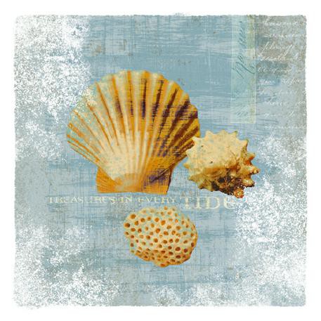 Tidal Treasures von Wild Apple Portfolio