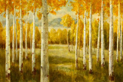 Aspens von Danhui Nai