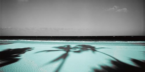 Palm & Sands von Anne Valverde
