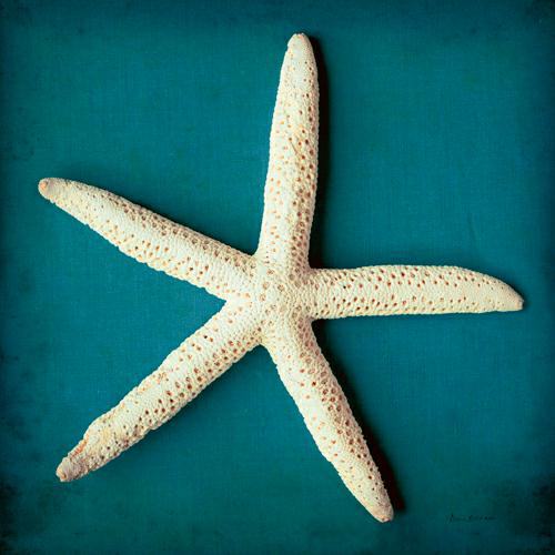 Sea Star II von Diana Brennan