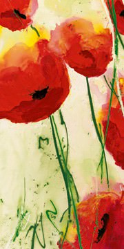 Klatschmohn von Heidi Reil