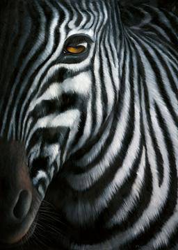 Zebra I von Jutta Plath