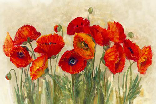 Vibrant Poppies von Carol Rowan