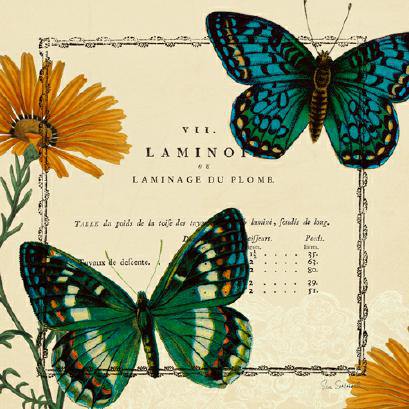 Summer Pages III von Sue Schlabach