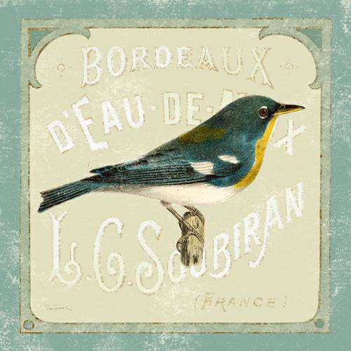 Parisian Bird I von Sue Schlabach
