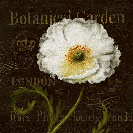 Botanical Garden II von Daphne Brissonnet