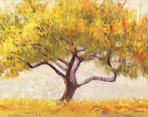Apricot Tree von Shirley Novak