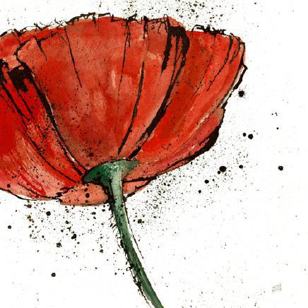 Not a California Poppy I on White von Chris Paschke