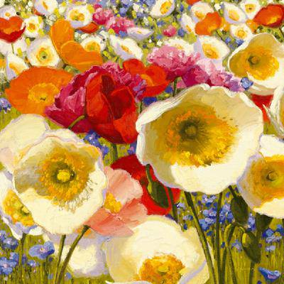 Sunny Abundance von Shirley Novak