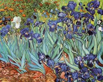 Landstrasse mit Zypresse und Ste von Vincent Van Gogh
