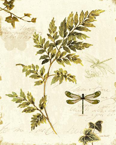 Ivies and Ferns III von Lisa Audit