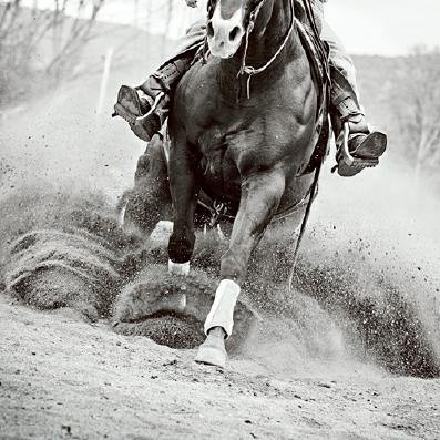 Reining In von Lisa Cueman