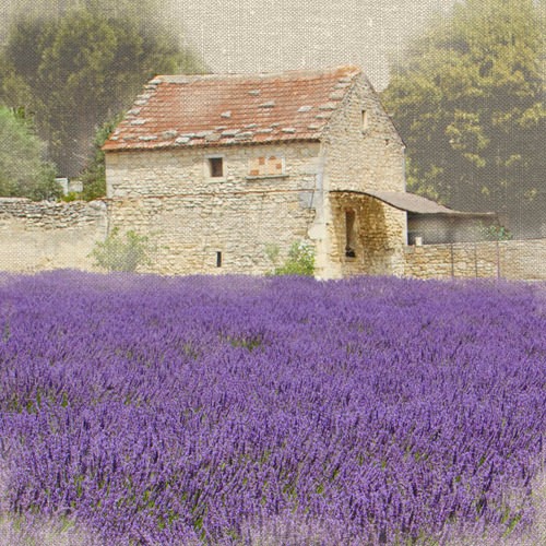 Tuscan Lavender von Bret Straehling