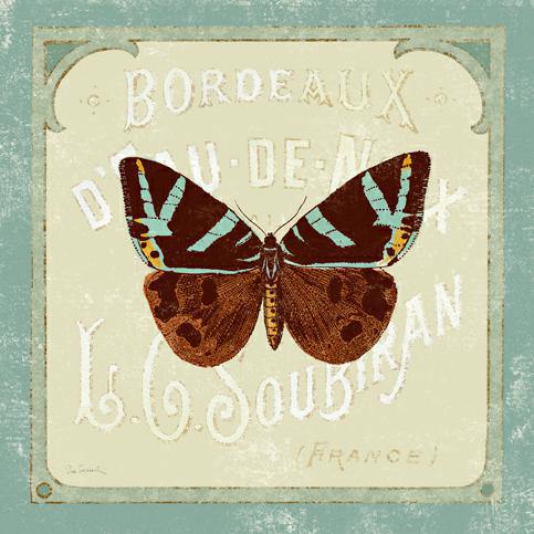 Parisian Butterfly II von Sue Schlabach