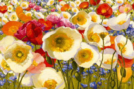 Sunny Abundance von Shirley Novak