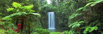 Millaa Millaa Falls, Australia von John Xiong