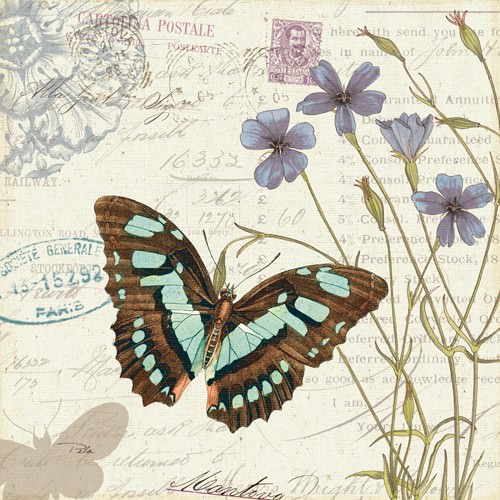 Papillon Tales I von Pela Studio