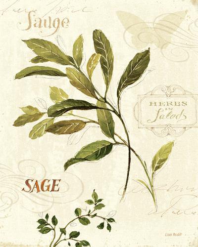 Aromatique IV von Lisa Audit