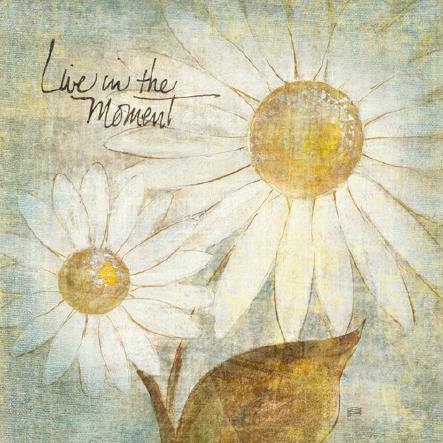 Daisy Do III - Live in the Moment von Chris Paschke